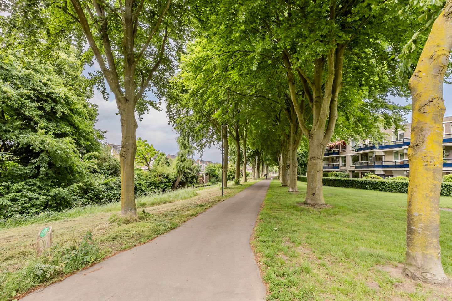 Foto 34 van Carel van Manderdreef 18