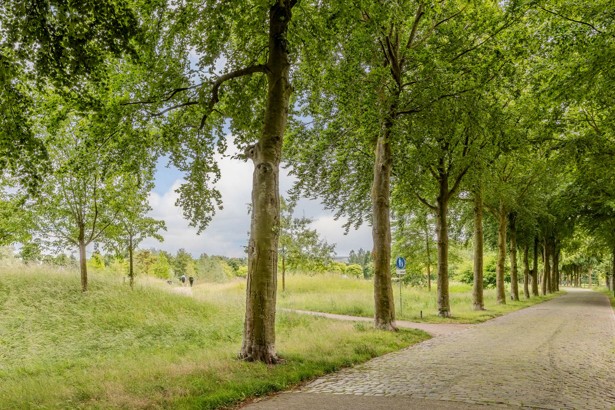 Foto 36 van Carel van Manderdreef 18