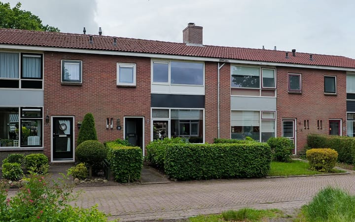 undefined main image