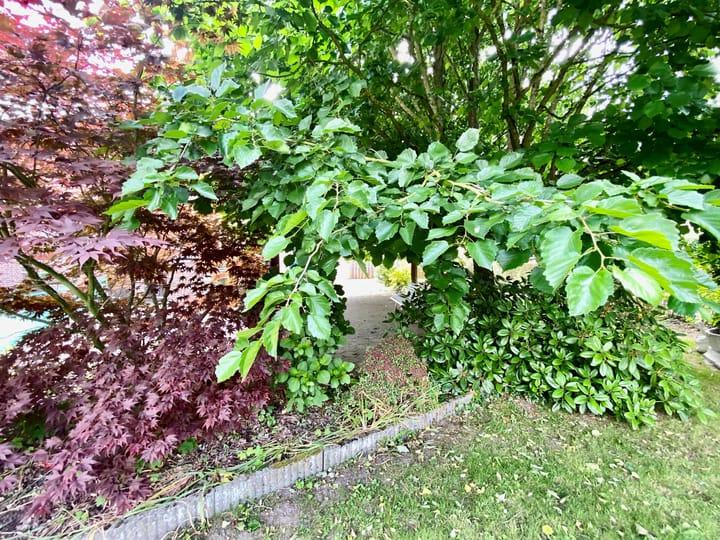 Foto 35 van Baakhoven 9