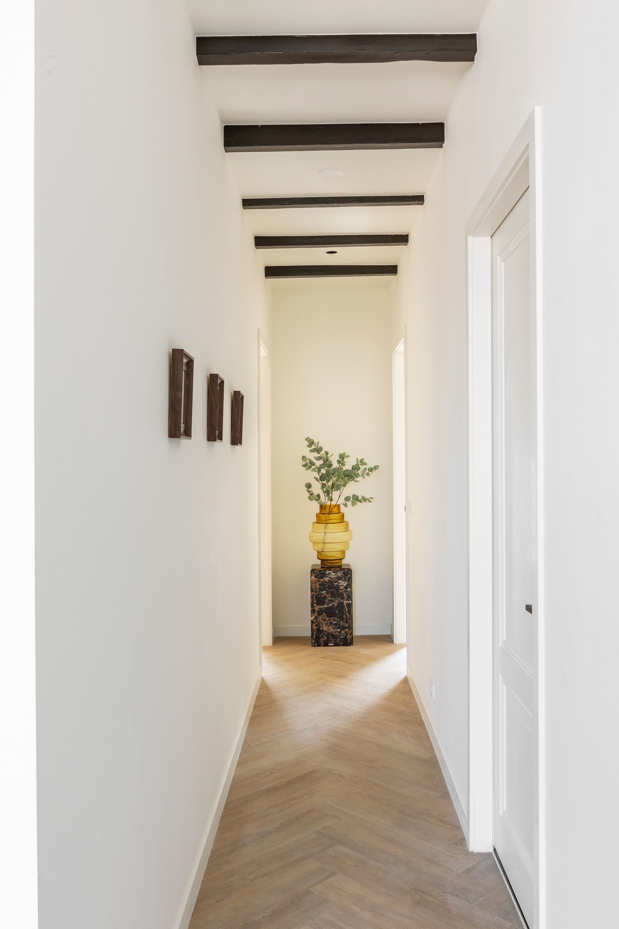 Foto 15 van Jan Luijkenstraat 102-F