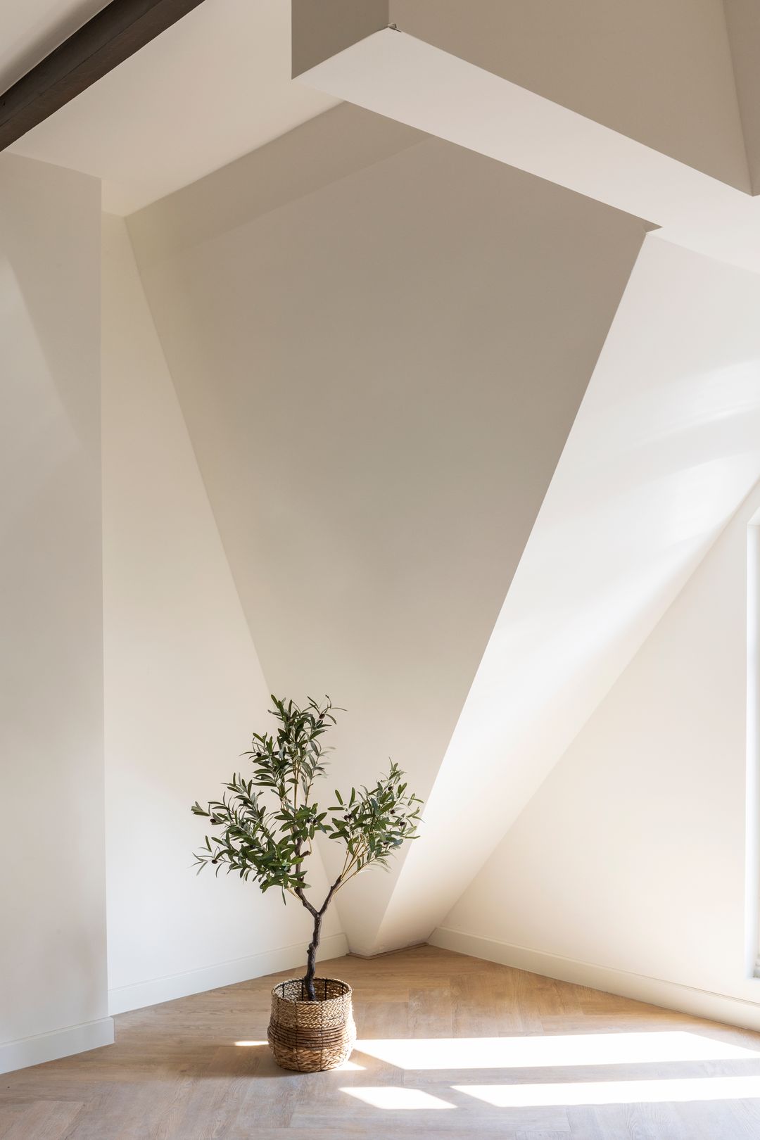 Foto 17 van Jan Luijkenstraat 102-F