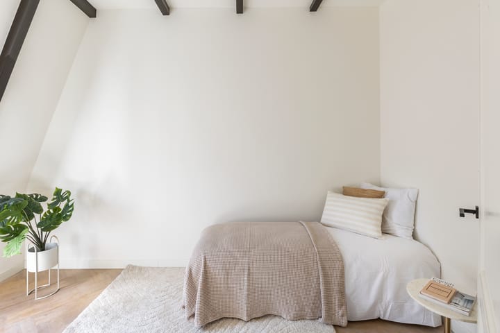 Foto 20 van Jan Luijkenstraat 102-F