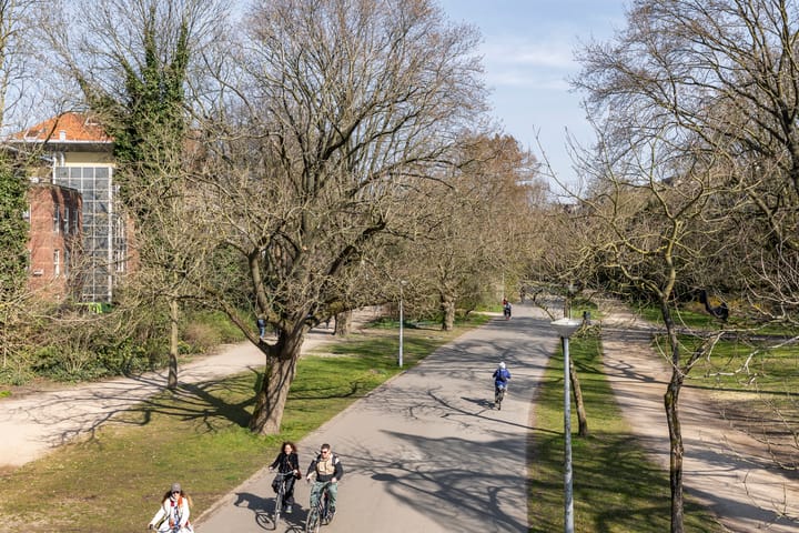 Foto 30 van Jan Luijkenstraat 102-F