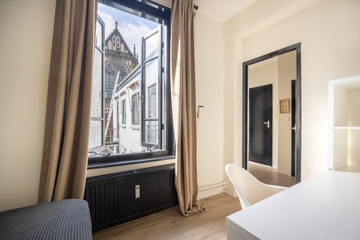 Foto 17 van Domstraat 9-C