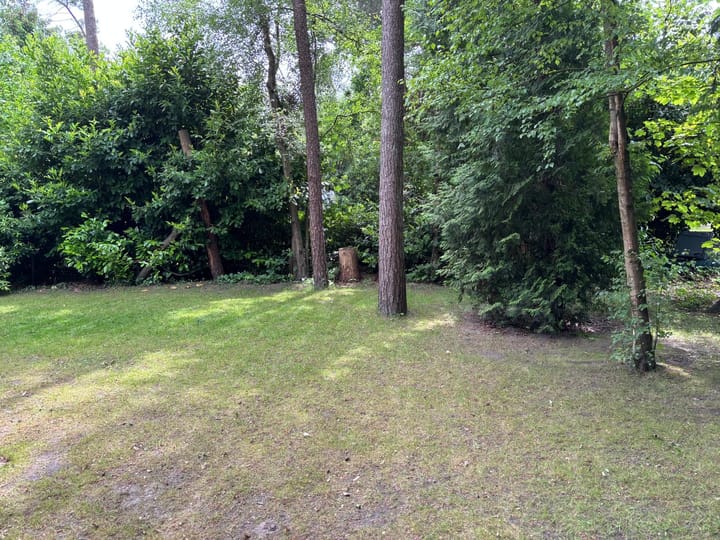 Foto 4 van Wijsterseweg 15-8