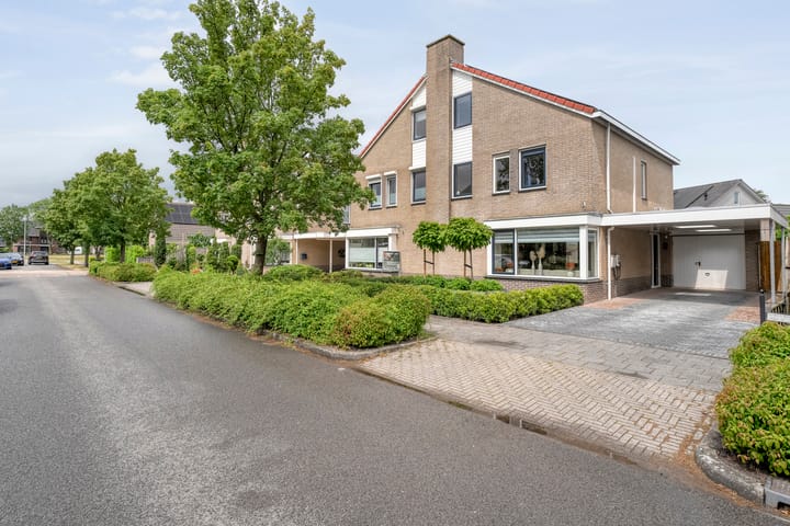 Foto 3 van Rhododendron 7