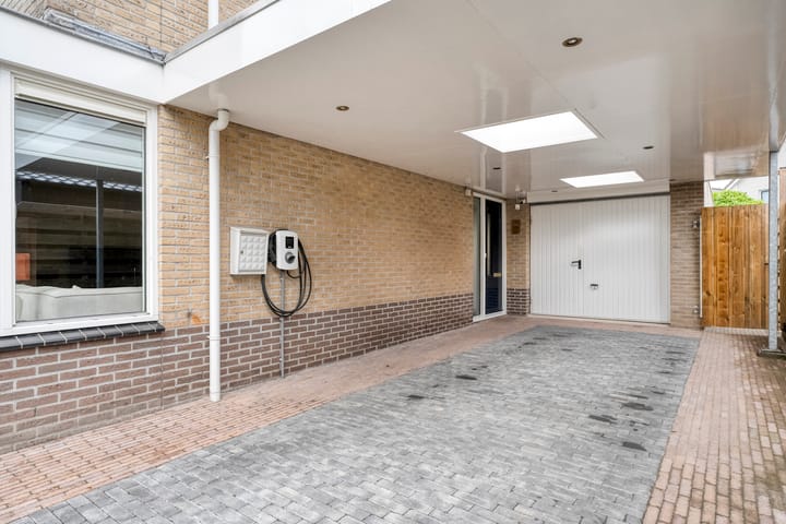 Foto 4 van Rhododendron 7