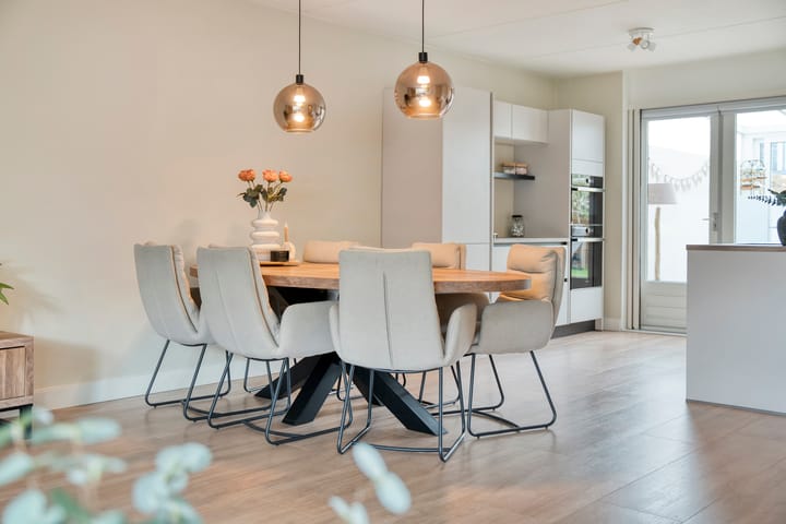 Foto 13 van Rhododendron 7