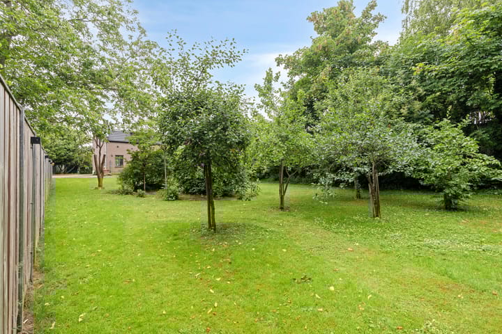 Foto 50 van Ammerstraat 17