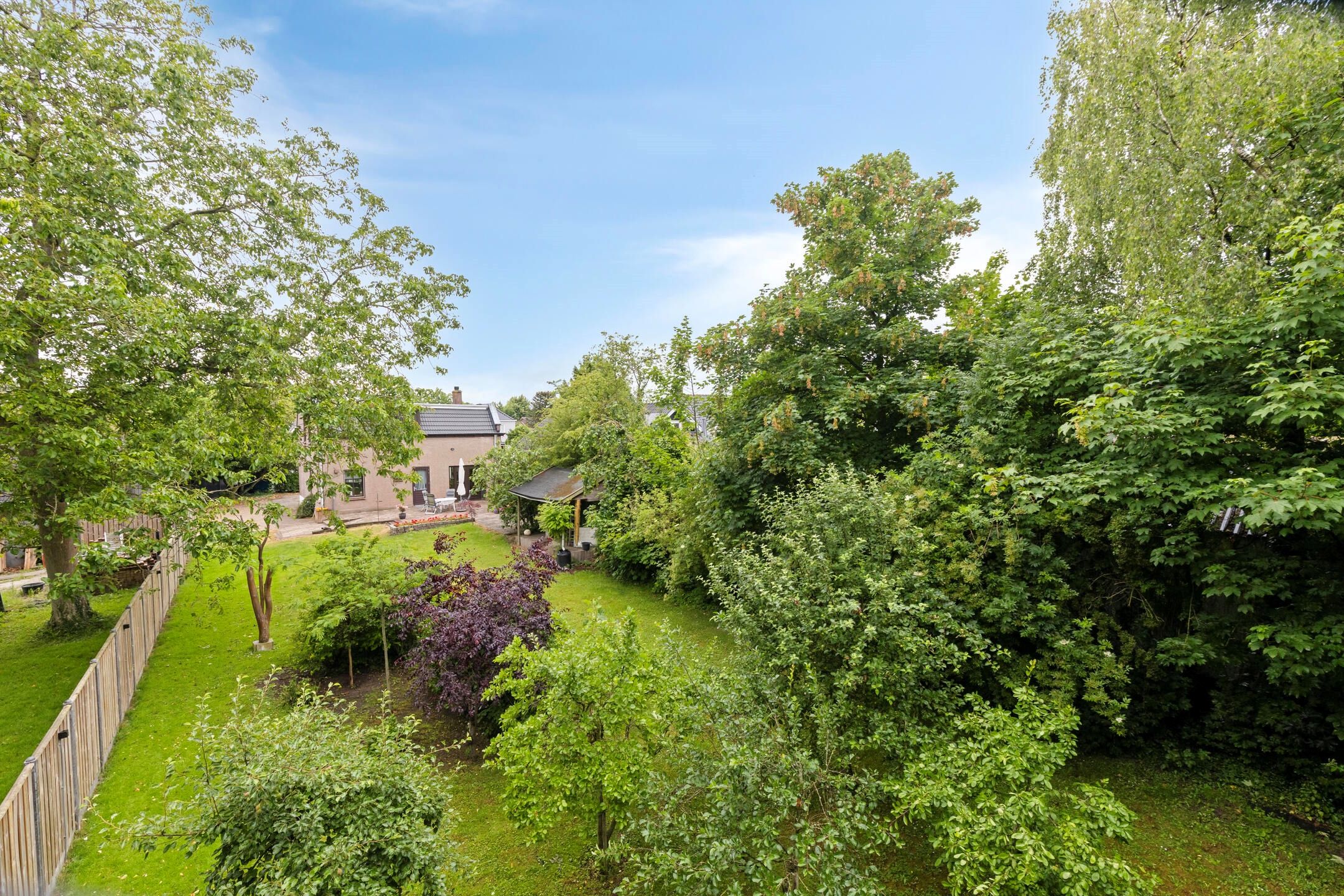 Foto 57 van Ammerstraat 17