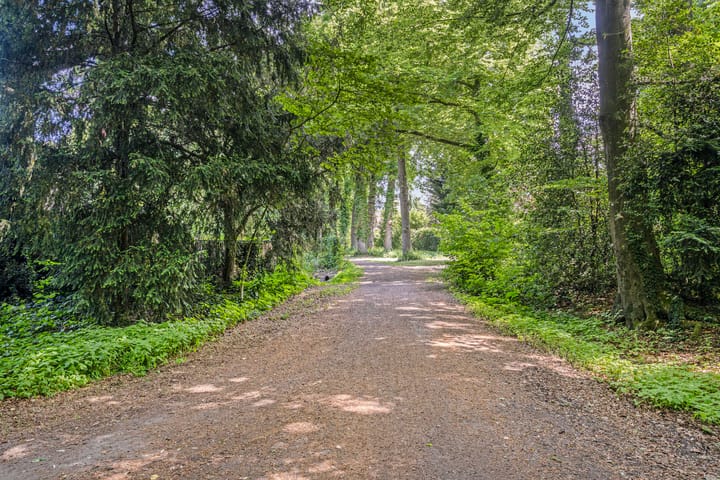 Foto 42 van Gezina van der Molenlanden 26