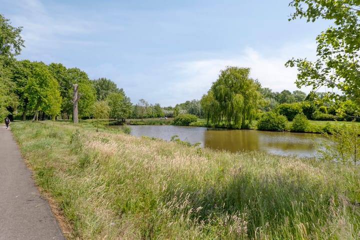 Photo 5 of Kleine Beerpad 11