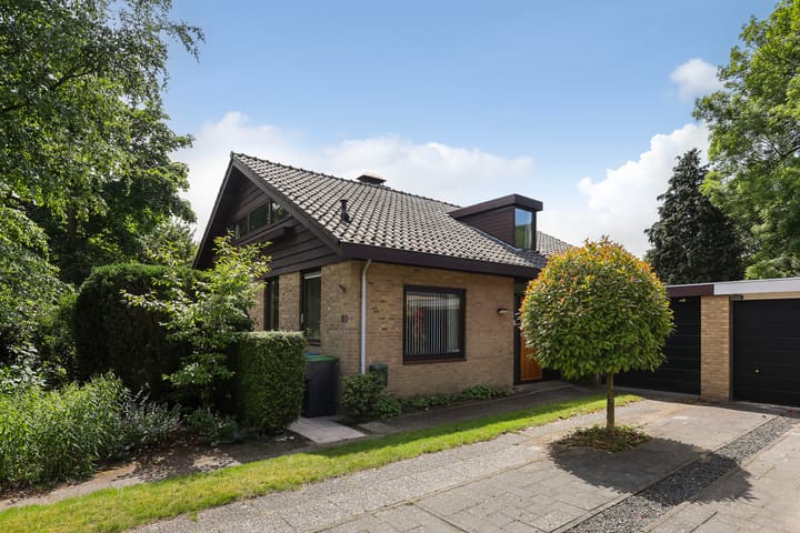 Foto 2 van Treubstraat 39