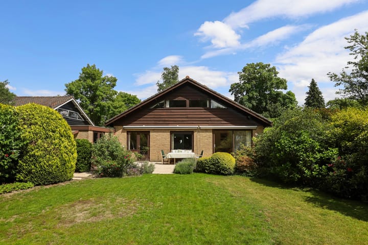 Foto 3 van Treubstraat 39