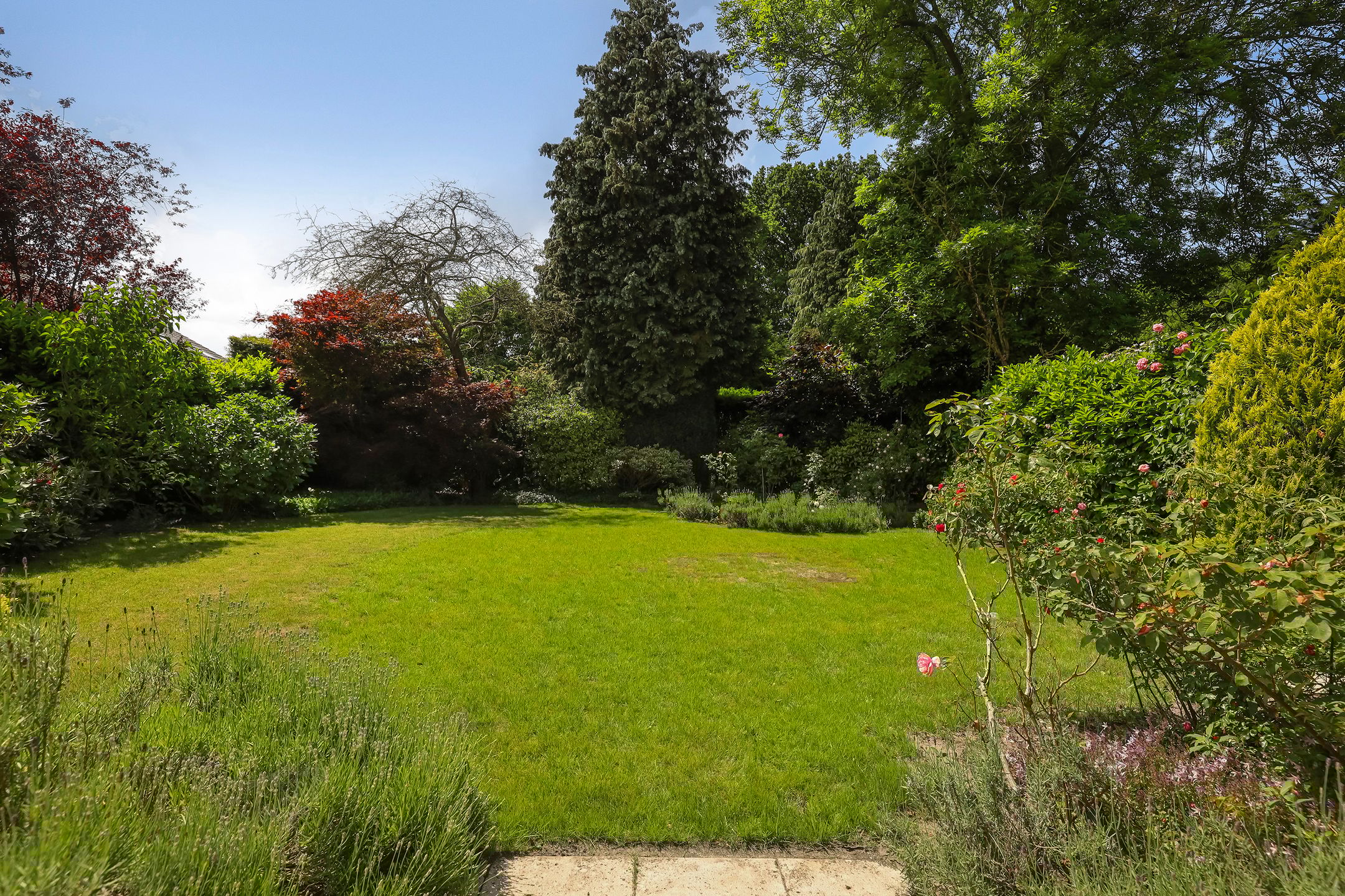 Foto 24 van Treubstraat 39