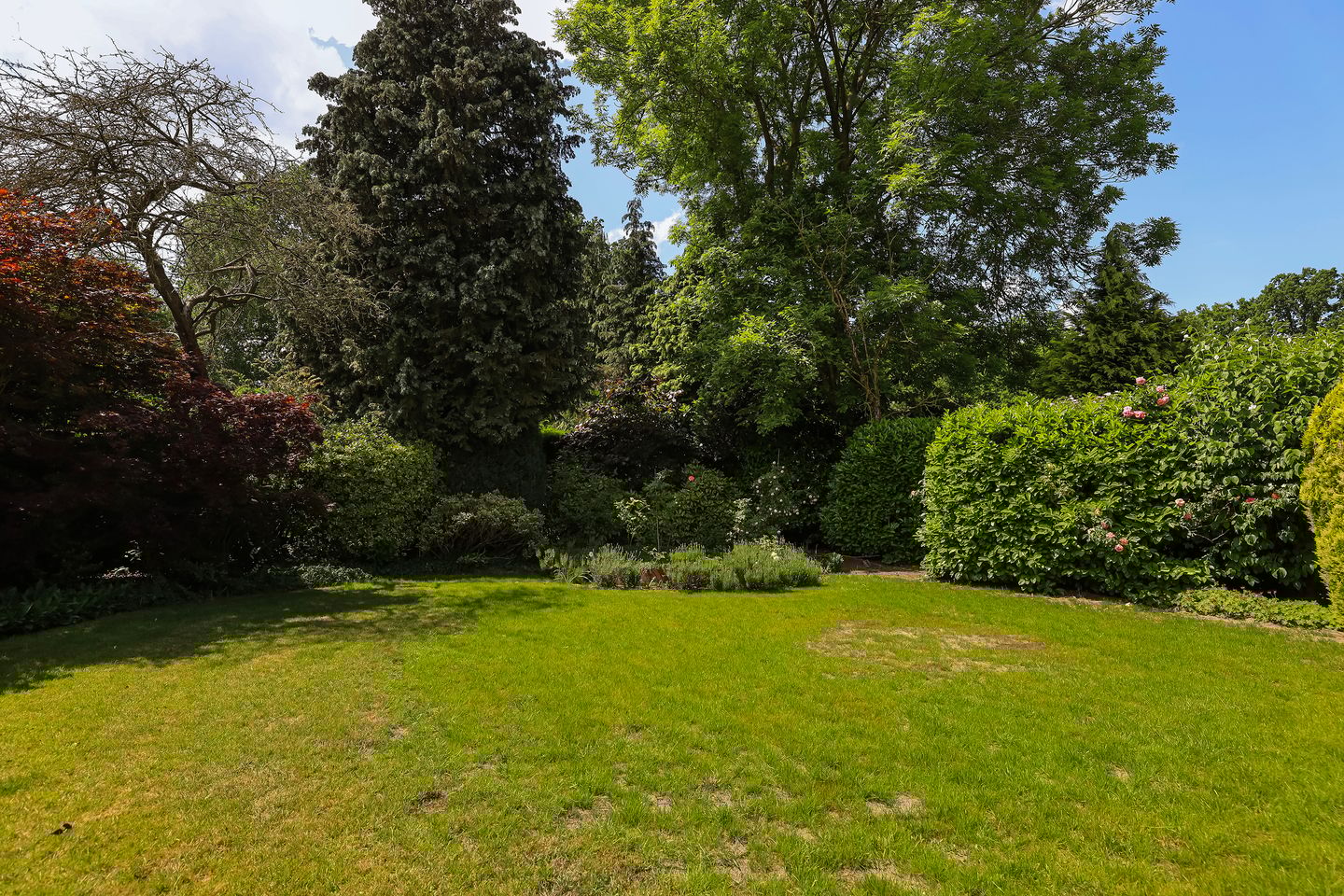 Foto 25 van Treubstraat 39