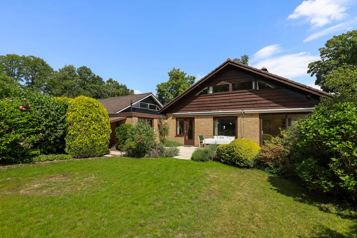 Foto 26 van Treubstraat 39