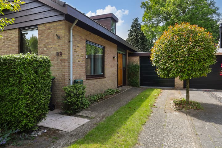 Foto 32 van Treubstraat 39