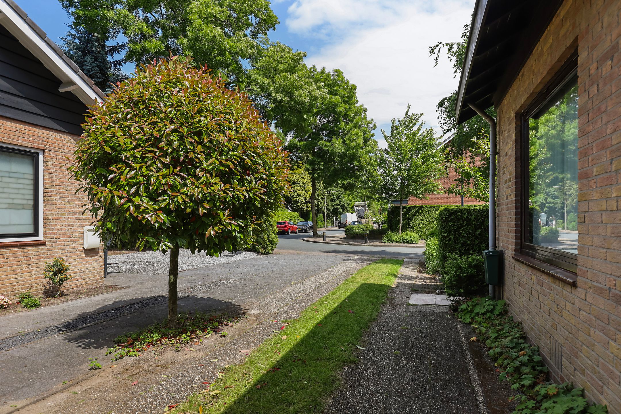 Foto 33 van Treubstraat 39