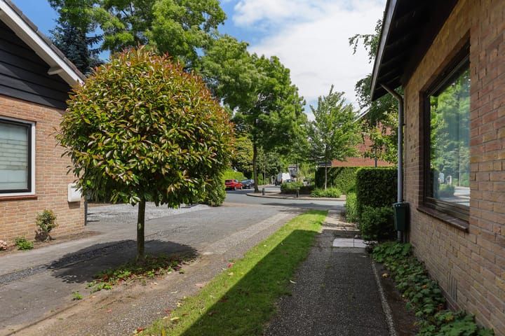 Foto 33 van Treubstraat 39