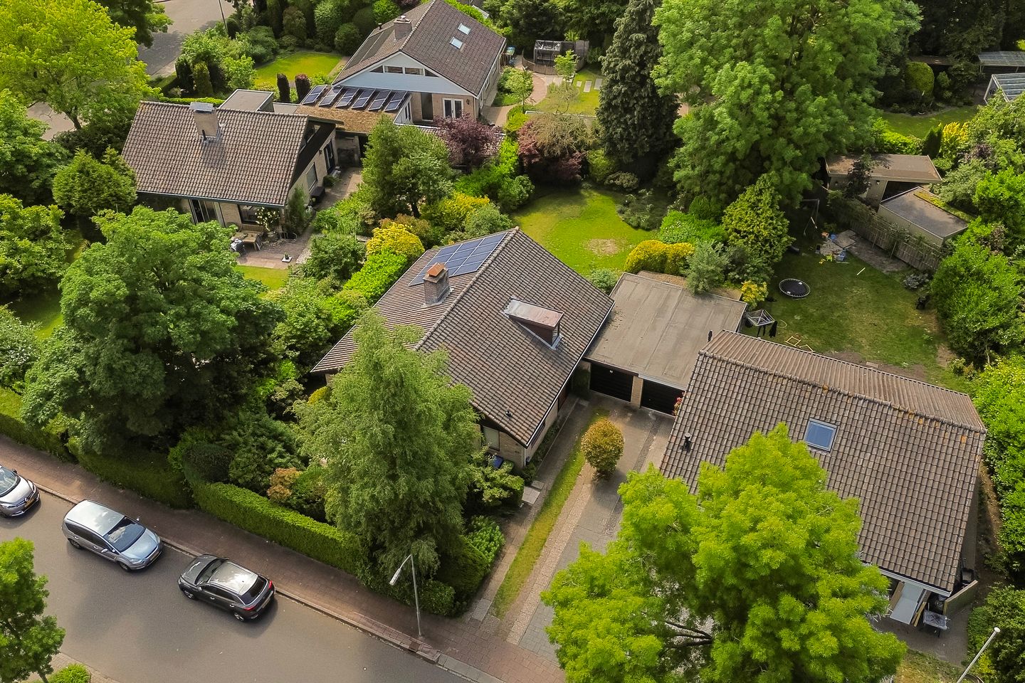 Foto 35 van Treubstraat 39