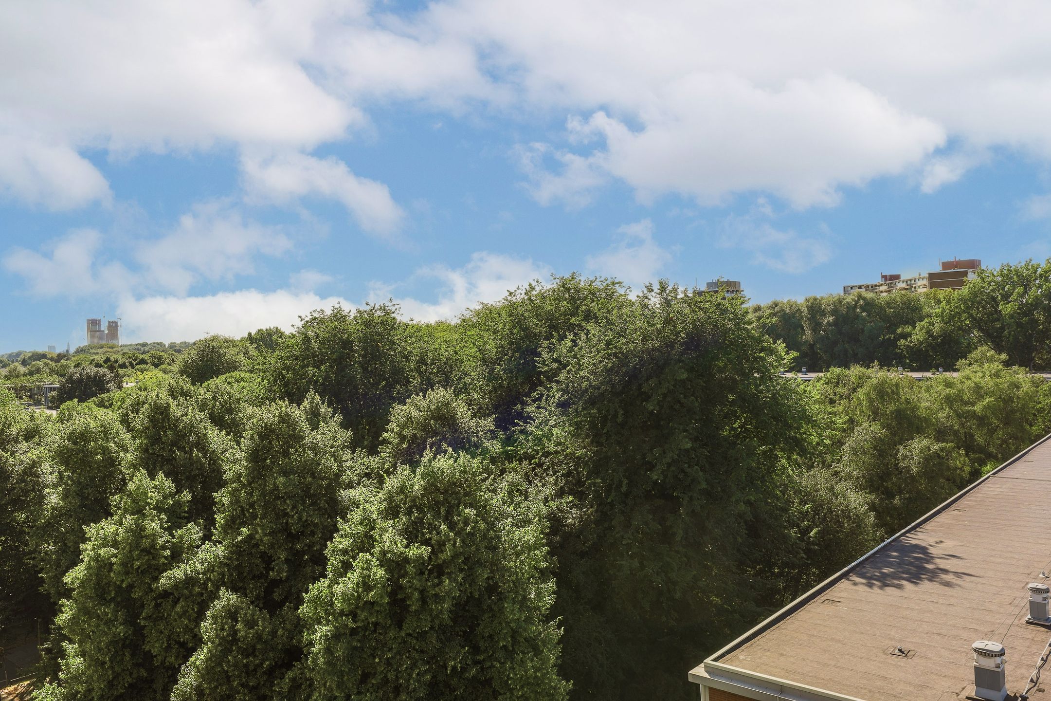 Foto 24 van Het Breed 811