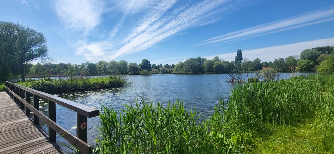 Foto 26 van Het Breed 811