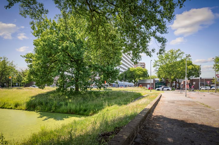 Foto 27 van Keizer Frederikstraat 203