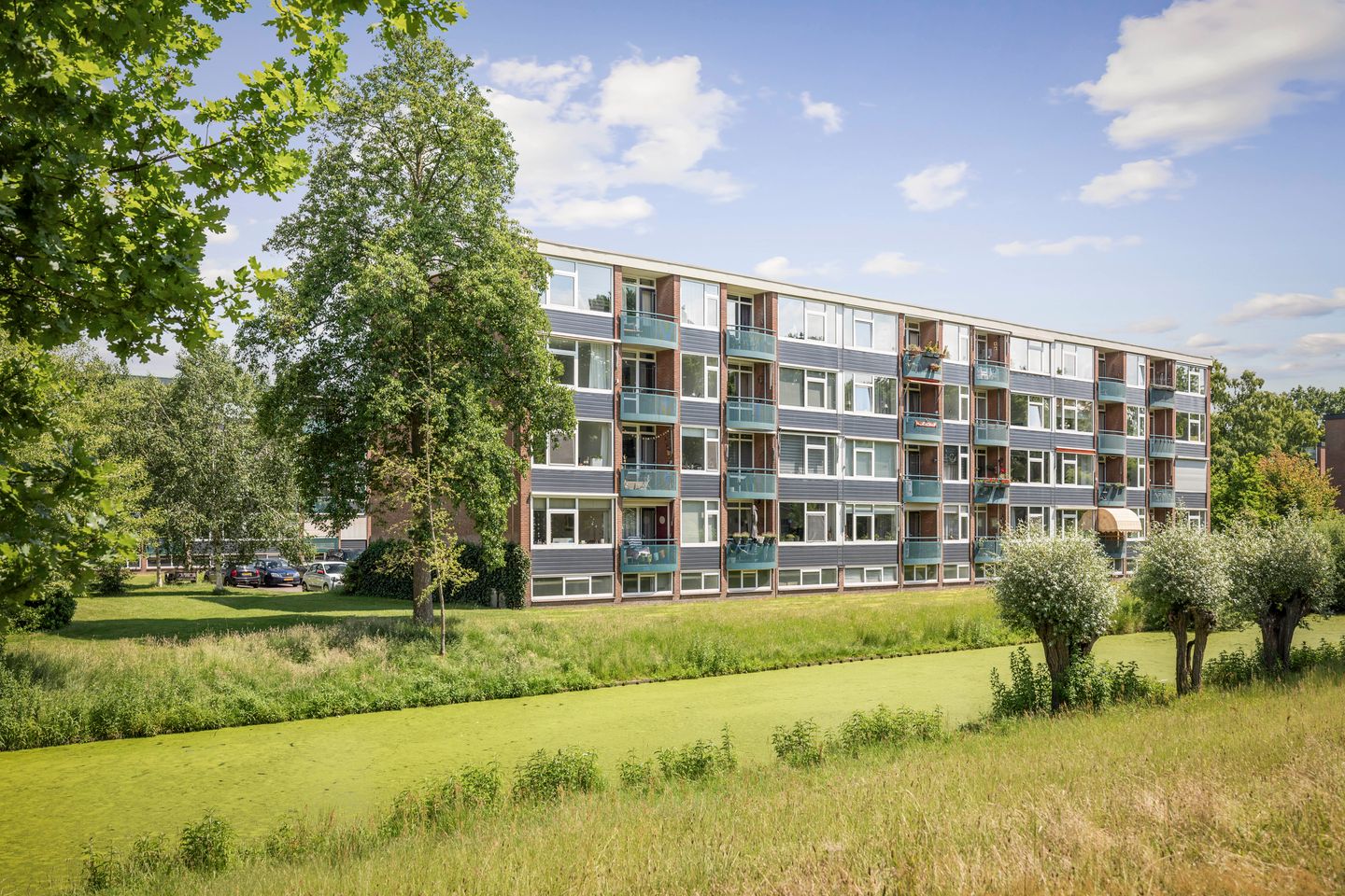 Foto 29 van Keizer Frederikstraat 203