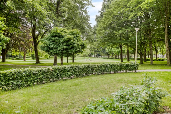 Foto 37 van Aangelag 8