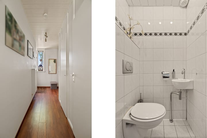 Foto 12 van Meelbes 6