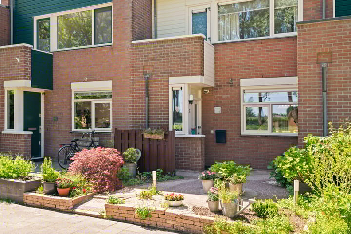 Foto 34 van Meelbes 6