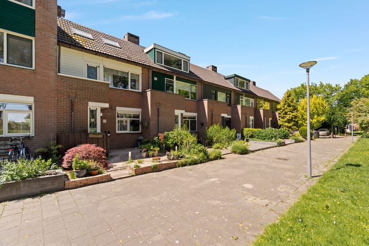 Foto 35 van Meelbes 6