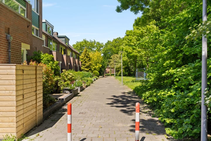 Foto 36 van Meelbes 6