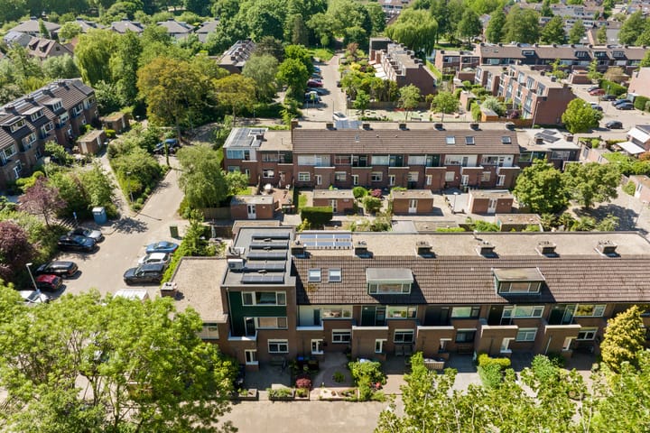 Foto 37 van Meelbes 6