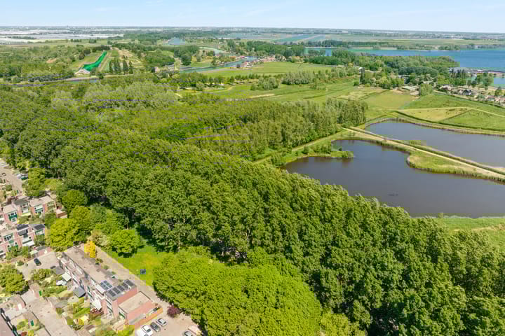 Foto 38 van Meelbes 6