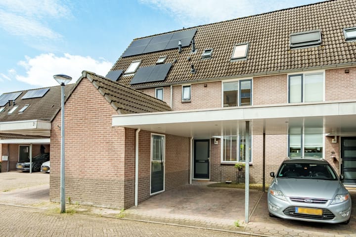 undefined main image