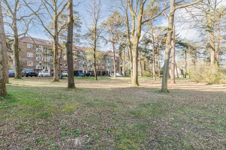 Foto 20 van Pieter Jelles Troelstralaan 53-A