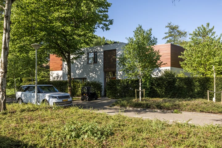 Warmelo 12