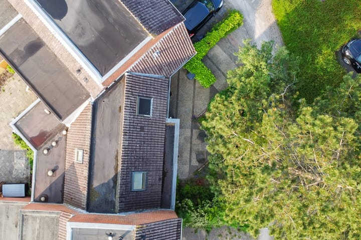 Foto 3 van Conincksmeer 50