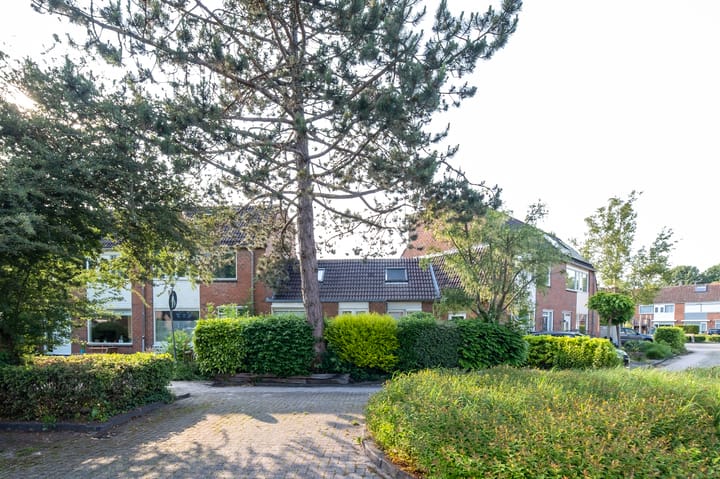 Foto 5 van Conincksmeer 50