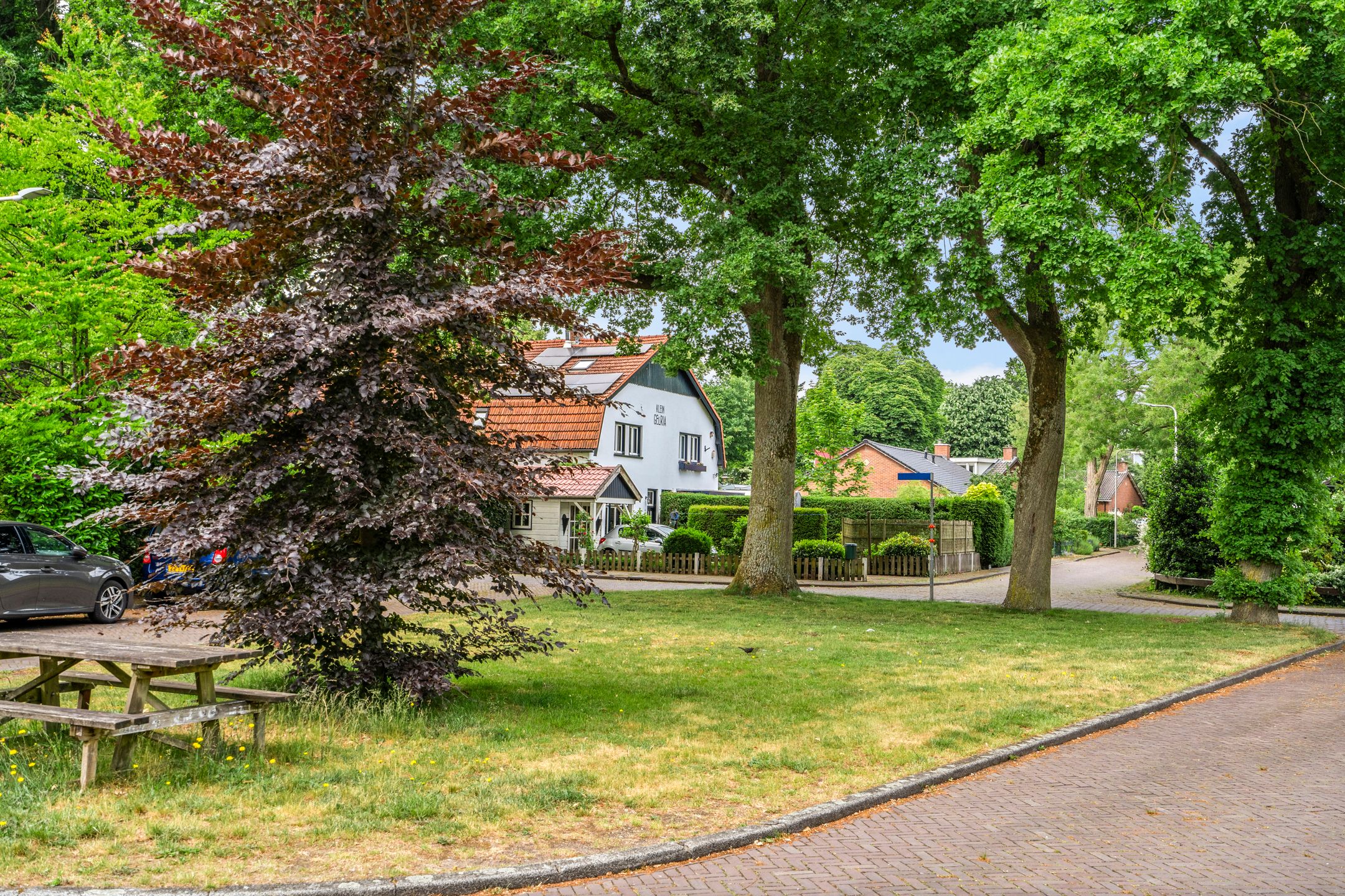 Photo 39 of Gelria 2