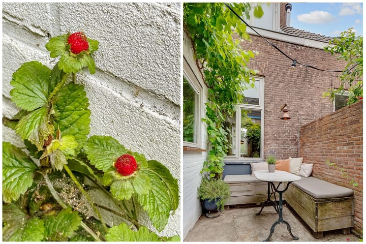 Foto 31 van Bloemstraat 85