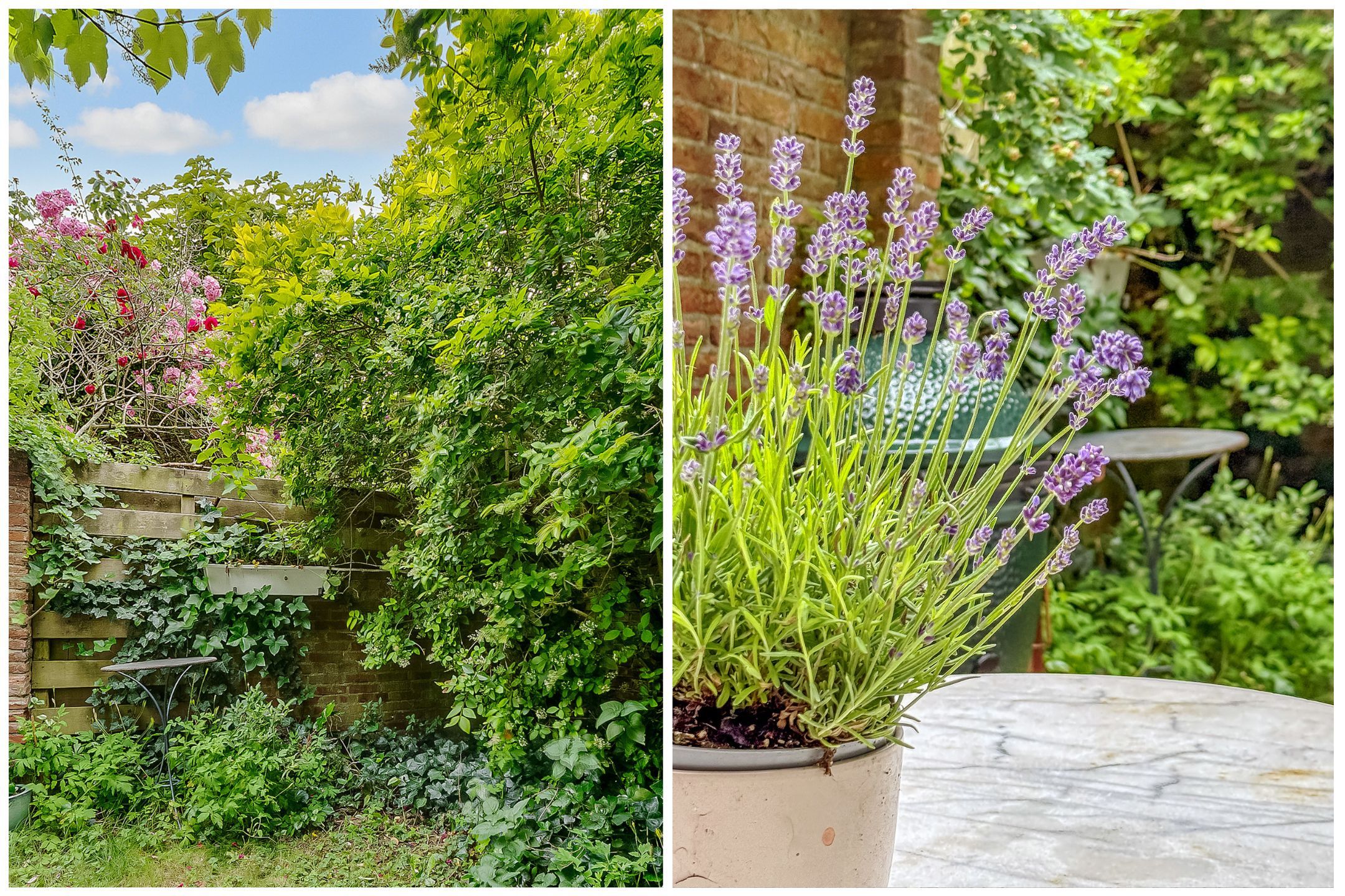 Foto 36 van Bloemstraat 85