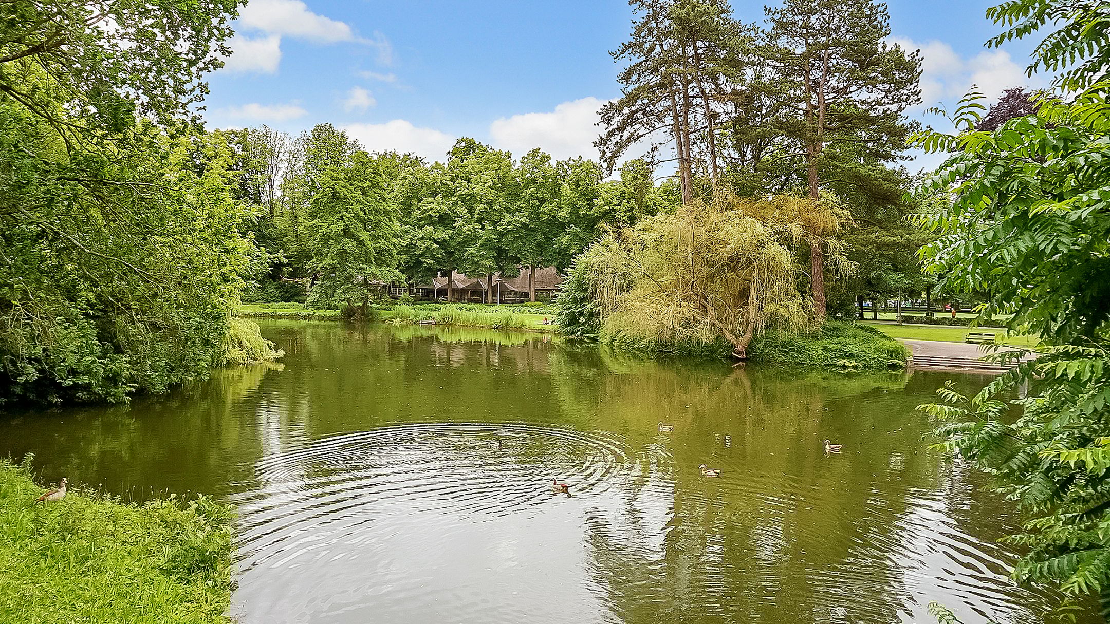 Foto 42 van Bloemstraat 85