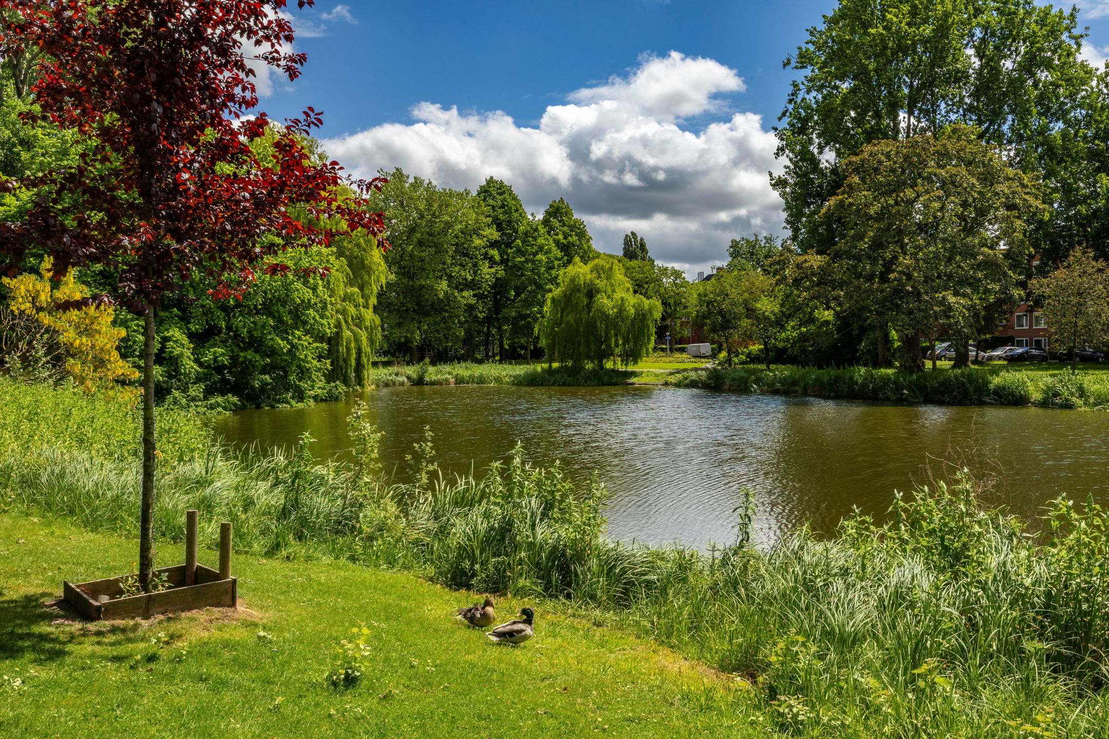 Foto 39 van Marowijnestraat 9