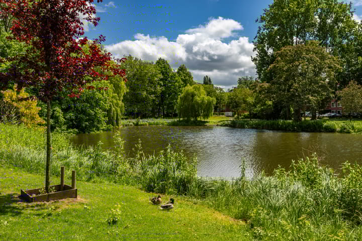 Foto 39 van Marowijnestraat 9