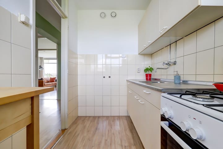 Foto 3 van Jacques Urlusplantsoen 376