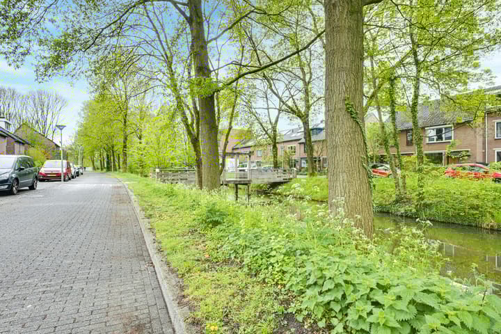 Foto 26 van Treek 38